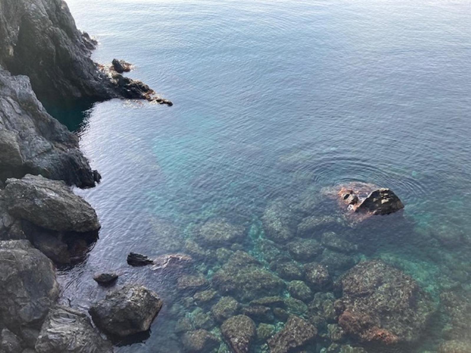 Pippo Cosy Studio Flat With Ac Monterosso al Mare Exterior photo
